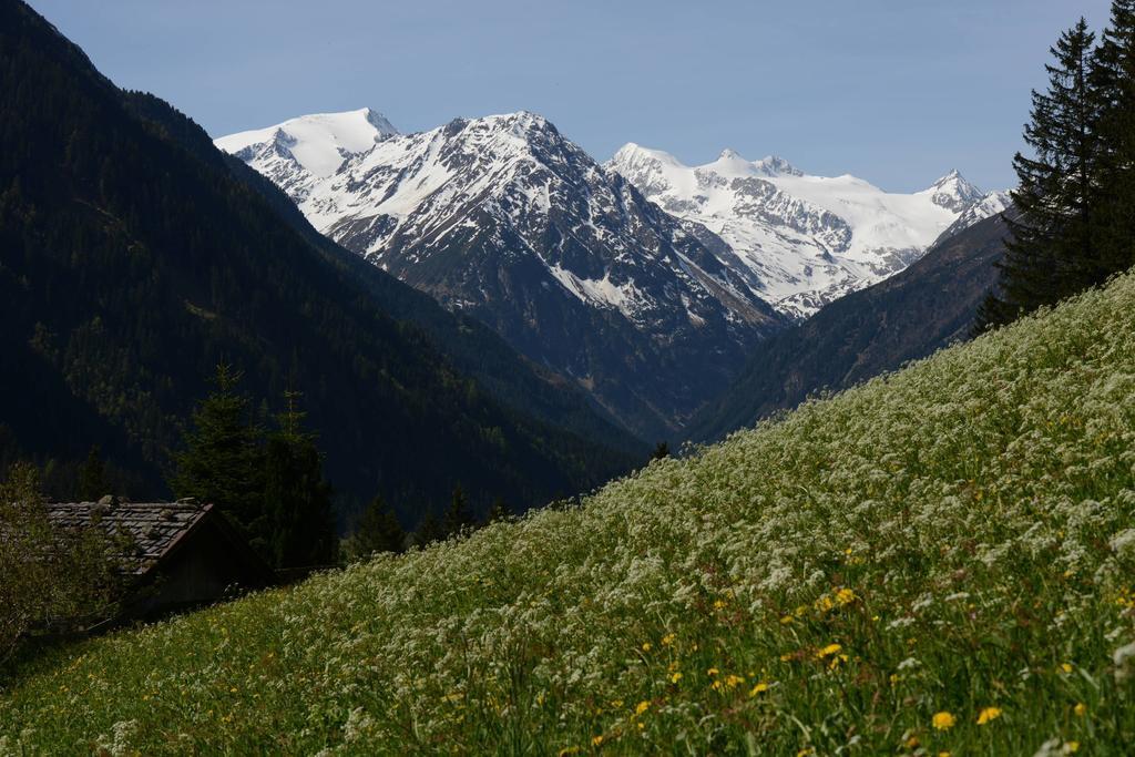 Pension Tina Neustift im Stubaital Ngoại thất bức ảnh