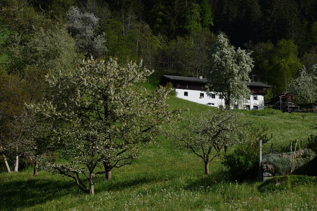 Pension Tina Neustift im Stubaital Ngoại thất bức ảnh