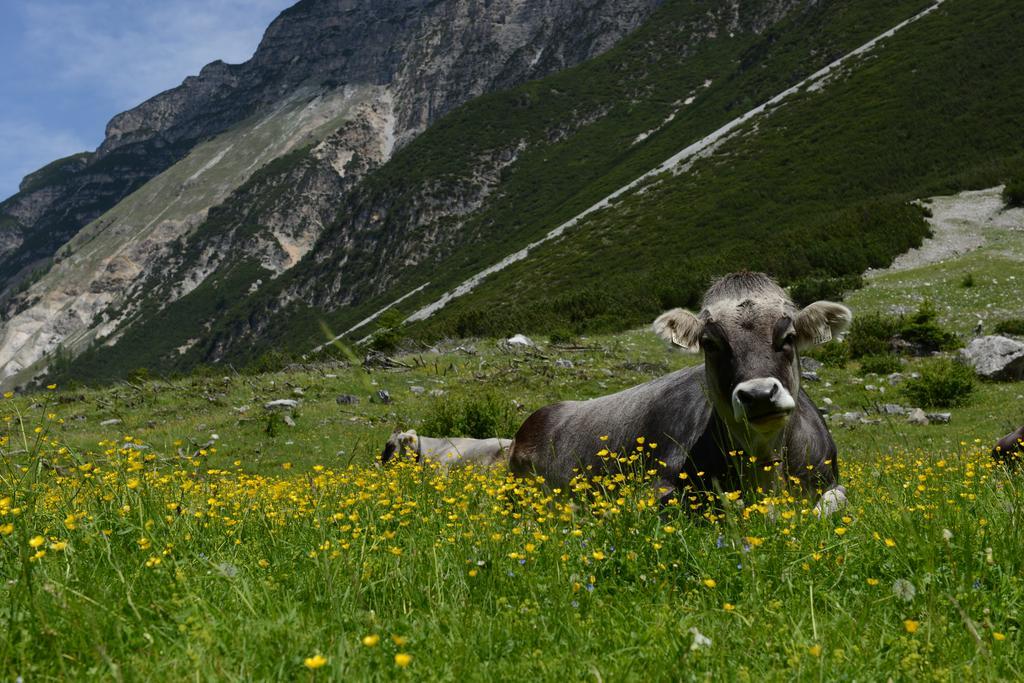 Pension Tina Neustift im Stubaital Ngoại thất bức ảnh