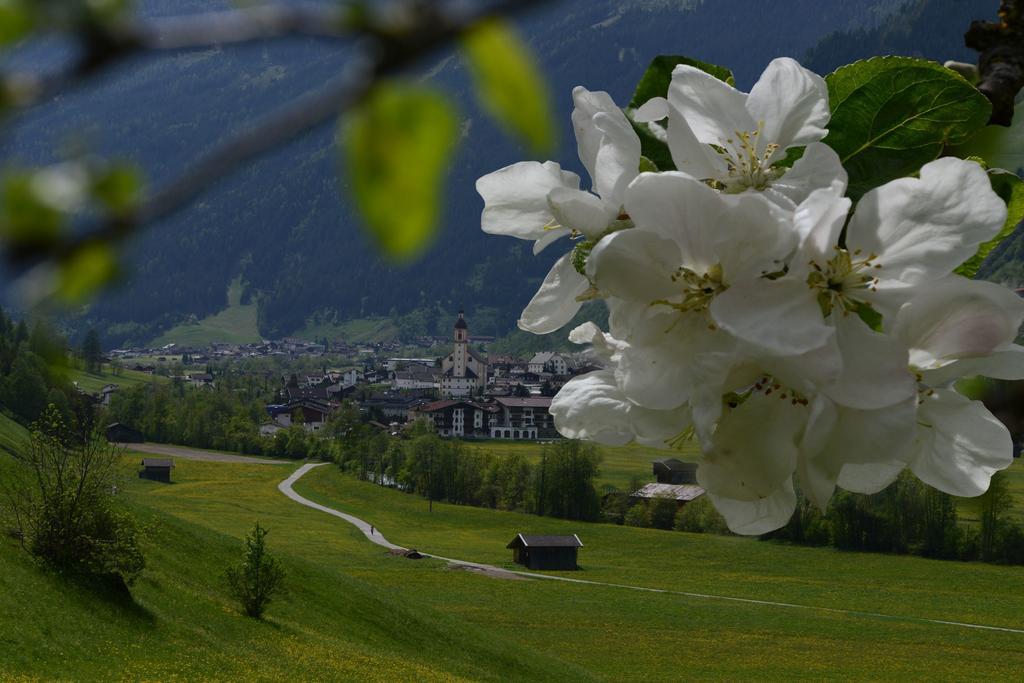 Pension Tina Neustift im Stubaital Ngoại thất bức ảnh